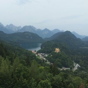 Meet your Posher, Abigail